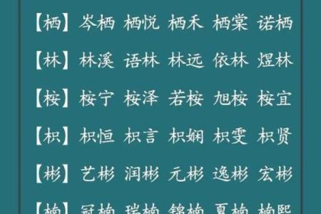 三个字名字大全：为宝宝取名提供灵感与建议