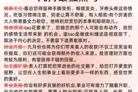 回顾属虎人的运势走势与发展建议