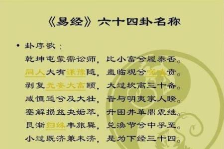 蛇年生人运程详解：事业、财富与感情全方位分析