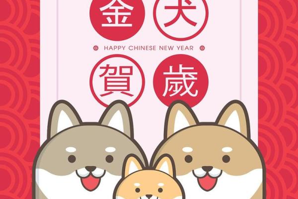 狗年兔运程解析 好运如何降临 狗年兔运程解析 好运如何降临