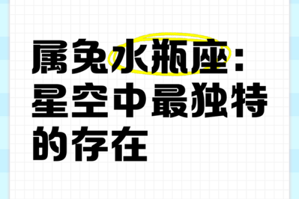 属兔人运势详解:事业发展与财运机会的关键时刻 属兔人运势详解:事业发展与财运机会的关键时刻