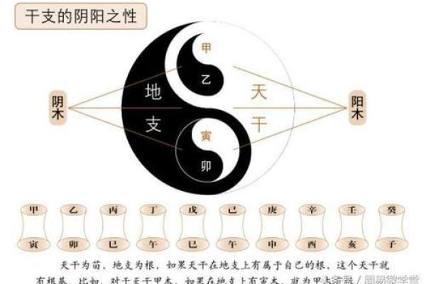 解析姓名与生辰八字如何相辅相成改变命运 解析姓名与生辰八字如何相辅相成改变命运