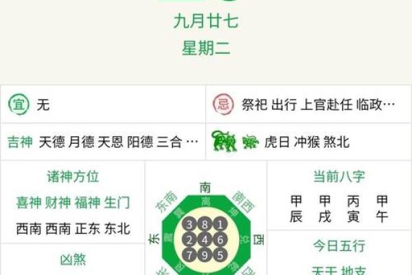 探秘年兔年运势与财运分析 探秘年兔年运势与财运分析