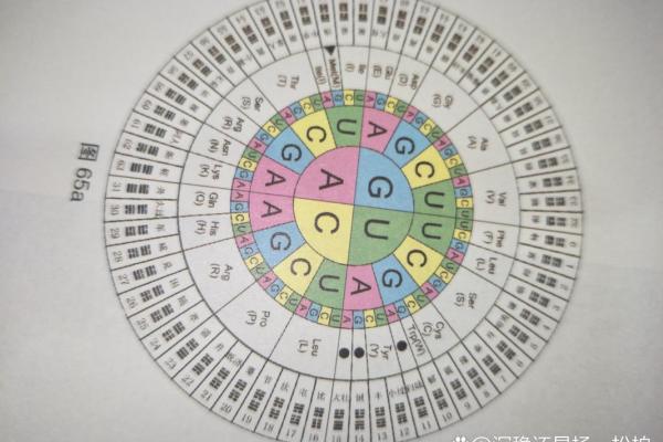 男命八字的天干地支配合，如何影响性格特征
