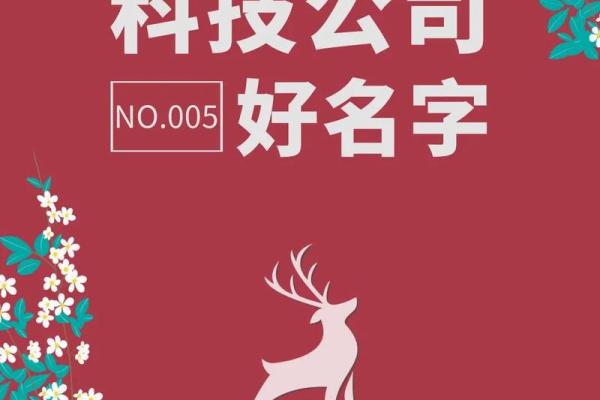 如何为信息科技公司起个既独特又有吸引力的名字