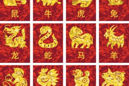 鼠兔是否能匹配？探讨十二生肖中的相配关系