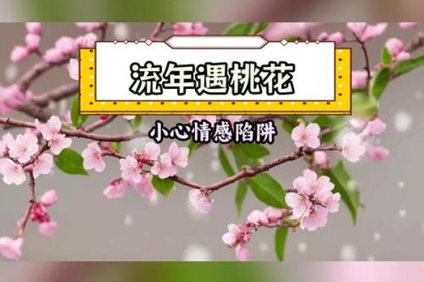 八字中的桃花运与婚姻幸福的关系