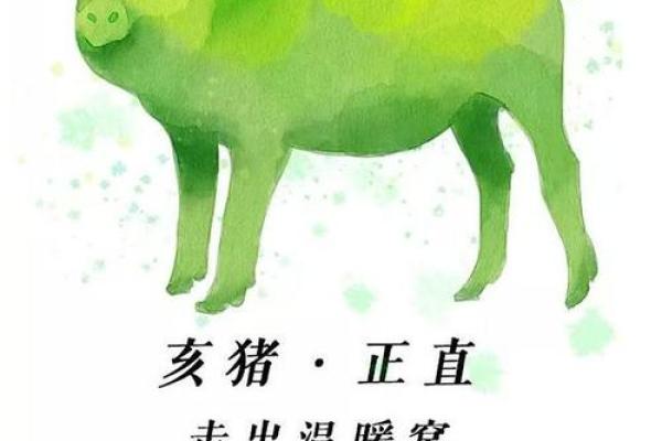 肖猪运程运势详解:感情与事业的双重挑战 肖猪运程运势详解:感情与事业的双重挑战