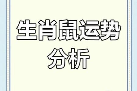 掌握戊子日运势，提升今日运气的小技巧