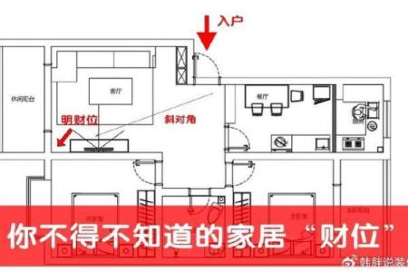 如何利用财位风水花吸引财富与好运