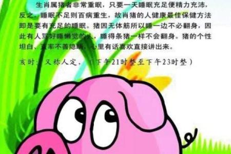 羊年事业爱情财运全方位运程解析