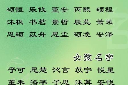 宝宝店取名技巧与灵感，轻松吸引家长目光
