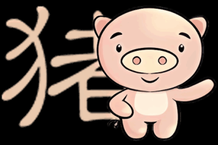属猪人的运程走向与重要注意事项