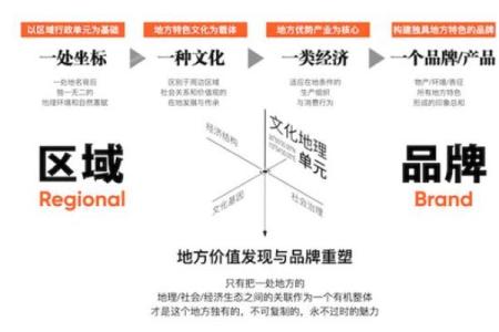 探索大名字的品牌文化与市场定位