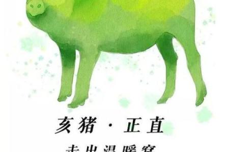 肖猪运程运势详解：感情与事业的双重挑战