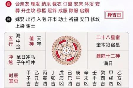 鼠人每月运势解析及运程趋势分析