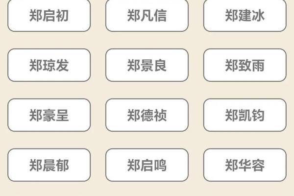 生辰八字免费起名的优势,如何根据命理选择名字 生辰八字免费起名的优势,如何根据命理选择名字