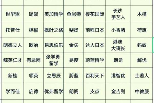 打造国际化留学公司品牌名称的关键要素