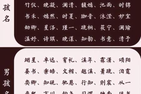 中国起名网解析：起名技巧与文化内涵