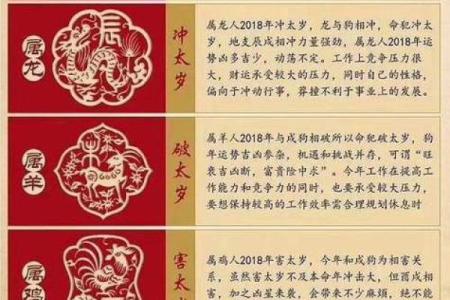 属龙人的一生运程解析与命运趋势分析