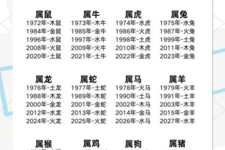 儿字五行属性解析及其与命理的关系
