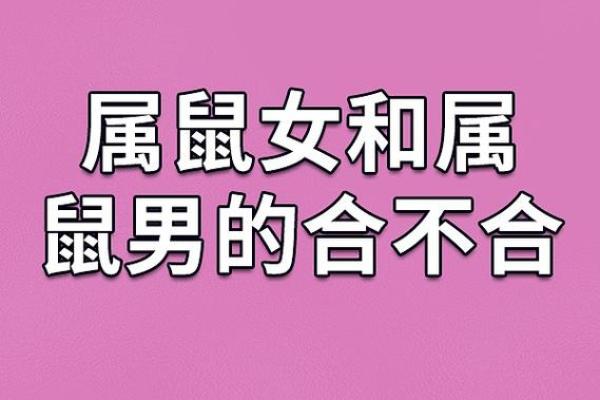 属蛇女和属鼠男的爱情关系是否长久 属蛇女和属鼠男的爱情关系是否长久