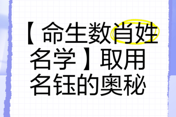 走进中华起名网，揭开名字背后的五行命理奥秘