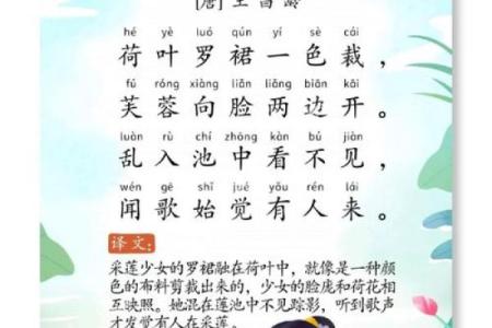 莲字在古诗文中的运用与意境解析