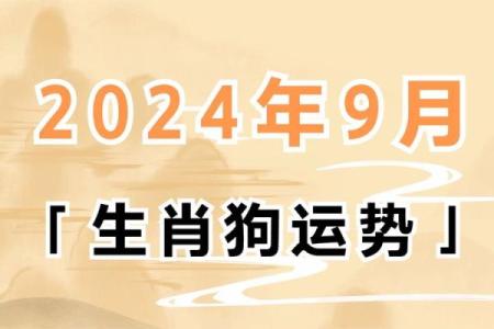 狗年运势如何？全年各方面运程详解