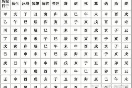 八字帝旺的命理解析与运势解读