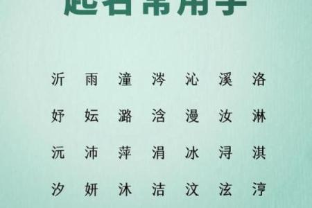 五行属水的字有哪些 了解这些字的含义与应用