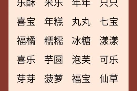 猪年宝宝起名宝典：如何选择合适的名字