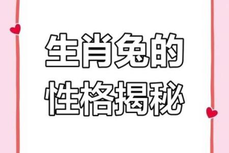 属兔人全年运势解析与运程展望