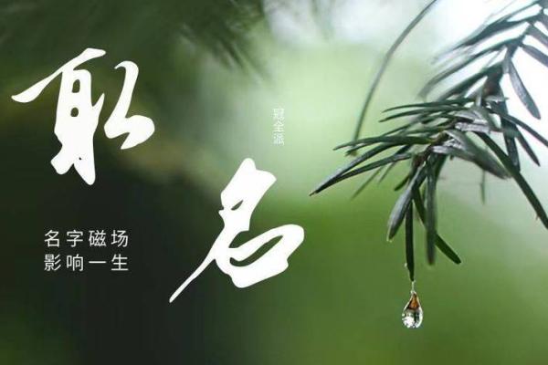 利用生辰八字选择名字,避免不合时宜的冲突 利用生辰八字选择名字,避免不合时宜的冲突