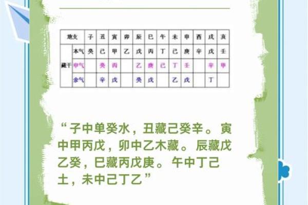 阳命在命理学中的深层含义