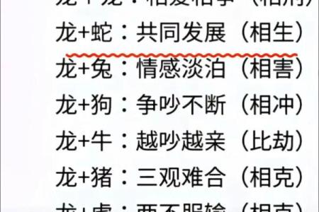 属龙男与属猪女的婚姻配对分析：天作之合还是各自为营？