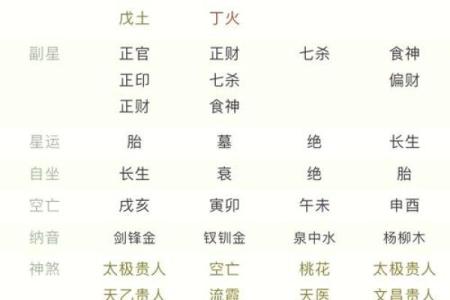 轻松了解命理运势：算八字软件的应用与技巧