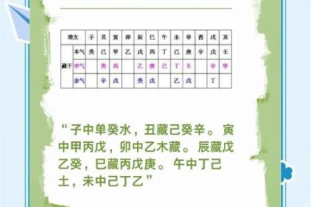 阳命在命理学中的深层含义