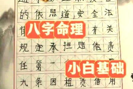 辰的五行属性解析与其在命理中的作用