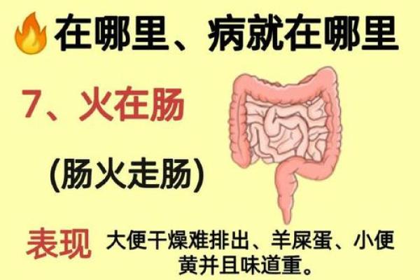 火命的不足之处与补救策略