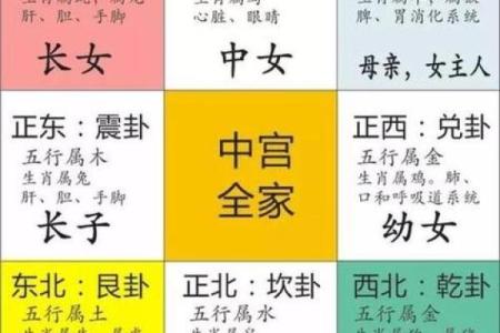 人每月运势预测与发展方向