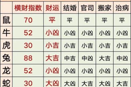十二生肖运势全面解析与运程预测