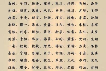 适合男宝宝的独特名字大全，传递温暖与力量