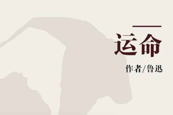 命运的分界线：命与运的不同与联系