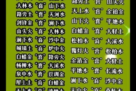 木火命的五行解析与命理特点