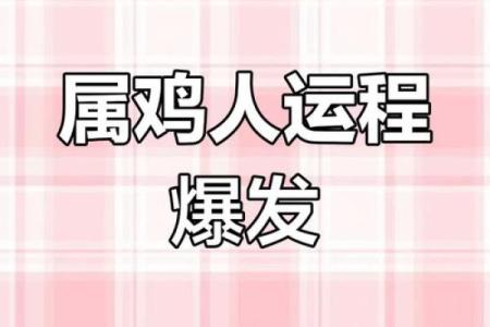 马年鸡的运势波动与应对策略