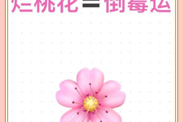 影响桃花运的八字特征与调理方法