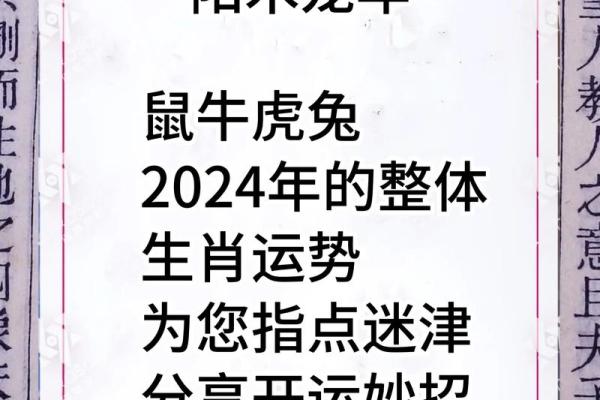 羊年虎人运势解析