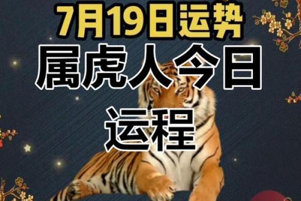 羊年虎人运势解析