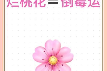 影响桃花运的八字特征与调理方法